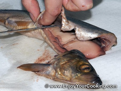 How to Clean Herring: Step 3
