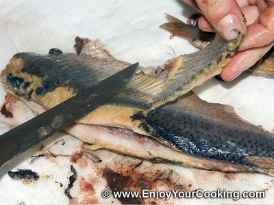 How to Clean Herring: Step 7