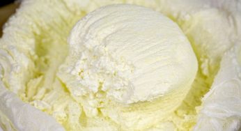 How to Make Quark from Milk
